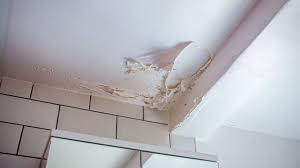 Prevent Mold In Bathroom Ceiling