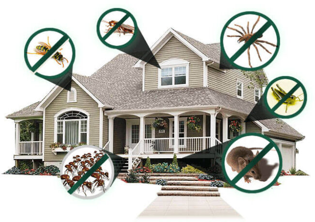 Dustin Pest Control Exeter